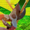 二值化神經網絡顯示出快速準確的機器學習的希望