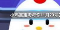 小雞寶寶知識問答:吃太咸的食物容易患老年癡呆嗎