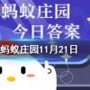 下列選項中可以守護森林不被白蟻破壞的是螞蟻莊園知識問答