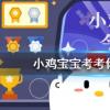 小雞寶寶知識問答：下列選項中可以守護森林不被白蟻破壞的是