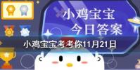 小雞寶寶知識問答:下列選項中可以守護森林不被白蟻破壞的是