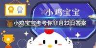 小雞寶寶知識問答:成熟的香蕉形狀為什么大都是彎的