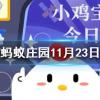 在沒有食物的情況下魚兒嘴巴一張一合是在螞蟻莊園知識問答