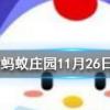 不小心被熱油燙到起了水皰正確的處理方式是螞蟻莊園知識問答