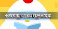 小雞寶寶知識問答:自動扶梯的階梯旁邊會有一排毛刷這有什么用