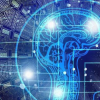 了解人們如何發展對AI的信任并為AI的使用提供信息