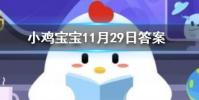 小雞寶寶知識問答:不少人喜歡空腹晨練這種做法