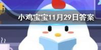 小雞寶寶知識問答:葵花籽其實是向日葵的什么