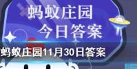 無花果為什么被叫做無花果螞蟻莊園知識問答