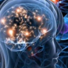 科學家改進信號和圖像處理算法