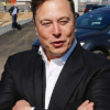蜥蜴蛇阻礙了特斯拉柏林工廠的建設