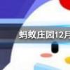 小王喝粥是不小心吞下一個紅棗核過幾天覺得肚疼他應該螞蟻莊園知識問答