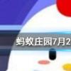 人體缺鐵時吃以下哪種食物補充效果更好螞蟻莊園知識問答