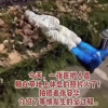 成都醫護睡草坪白天上班晚上檢測