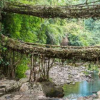 可生物降解的橋梁響應環境的居住結構
