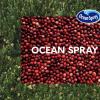 Ocean Spray與大自然開展合作新營銷活動