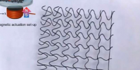 研究人員創建了3D打印的軟網格機器人