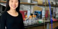 AI系統可最佳地在數千臺服務器之間分配工作負載