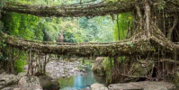 可生物降解的橋梁響應環境的居住結構