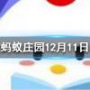 腰果放置久了有一股哈喇味又苦又辣還能繼續吃嗎螞蟻莊園知識問答
