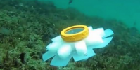 認識新的海洋守護者機器人水母