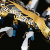 Festo的BionicANT通過任務規則進行通信