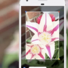 GoogleLens現已上市Assistant獲得更深入的整合