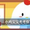 小雞寶寶知識問答：狗狗身上調節體溫的汗腺主要分布在哪里