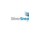 SilverSneakers通過打開其按需圖書館來支持高級健身