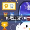在天愿做比翼鳥在地愿為連理枝一詩寫的是哪個愛情故事螞蟻莊園知識問答