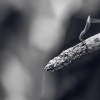 吸煙人群家庭貧困概率顯著增高