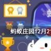 古時亞歲是指哪個節氣螞蟻莊園知識問答