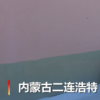 禿鷲太冷了到牧民家求救