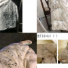 西安男子街頭朝女生潑墨原因曝光