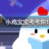 小雞寶寶知識問答：傳統小吃驢打滾主要是用什么做的