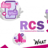 RCS標準現已全球通用這對您意味著什么