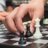 大多數人認為下棋使您更聰明但是證據尚不清楚