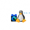 Linux最后獲得Microsoft預覽