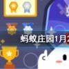 東道主中的東道指的是螞蟻莊園知識問答