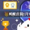 年糕是春節餐桌上的常見美食寄托了美好愿望它的寓意是螞蟻莊園知識問答