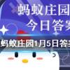 揉壓眼睛時有時眼前會出現光斑或奇怪的圖案這是因為螞蟻莊園知識問答