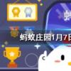 古代當鋪柜臺前都有個大木板叫遮羞板主要目的之一是螞蟻莊園知識問答