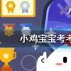 小雞寶寶知識問答：傷筋動骨100天骨折后必須躺著不動100天嗎