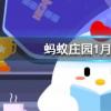 聰明節指的是我國哪個傳統節日螞蟻莊園知識問答