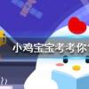 小雞寶寶知識問答:聰明節指的是我國哪個傳統節日