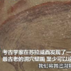 印尼發現已知世界最古老洞穴壁畫