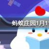 哪種動物一生都在換牙只要牙齒受損立刻會有新的補上螞蟻莊園知識問答