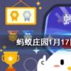 嘴唇越舔越容易干裂是因為螞蟻莊園知識問答