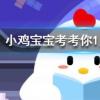 小雞寶寶知識問答：長期用嘴巴呼吸真的可能會讓人變丑嗎