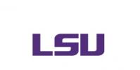 LSU推出具有四個學位和市場營銷學位的新在線本科商業學位